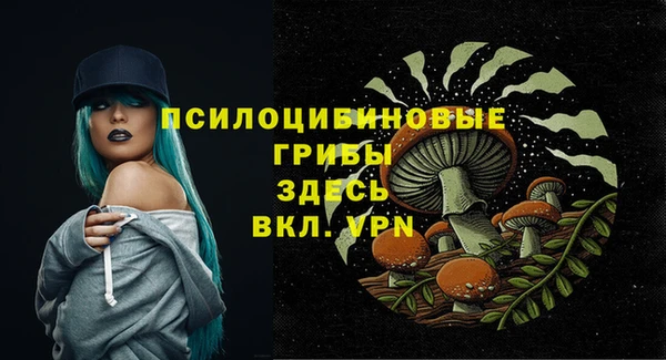 спиды Абинск
