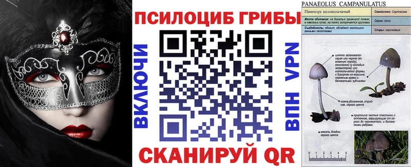 Псилоцибиновые грибы Psilocybine cubensis  где продают наркотики  Иваново 
